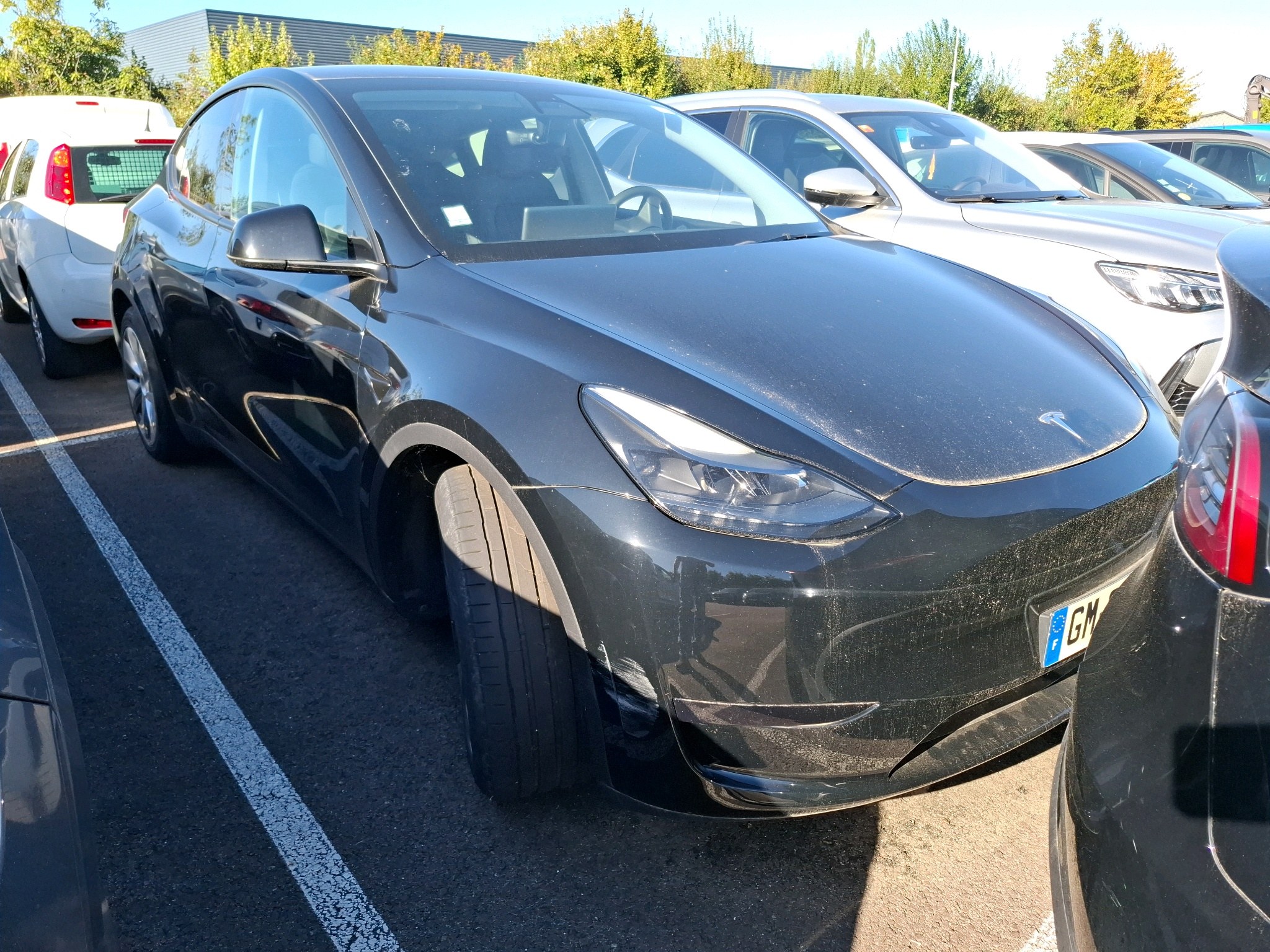 TESLA MODEL Y Standard RWD 2023