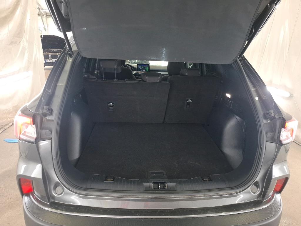 FORD KUGA 1.5 EcoBlue 120 Powershift Titanium 2022
