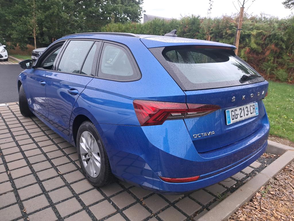 SKODA OCTAVIA COMBI 2.0 TDI 150 ch DSG7 Business 2022