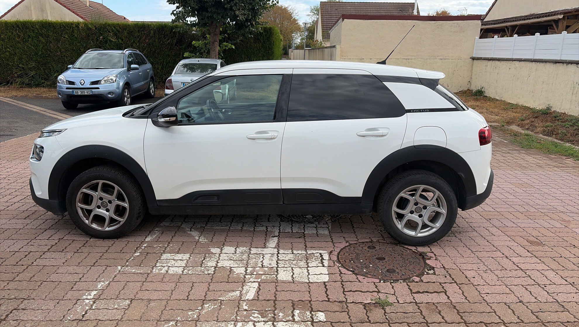 C4 CACTUS