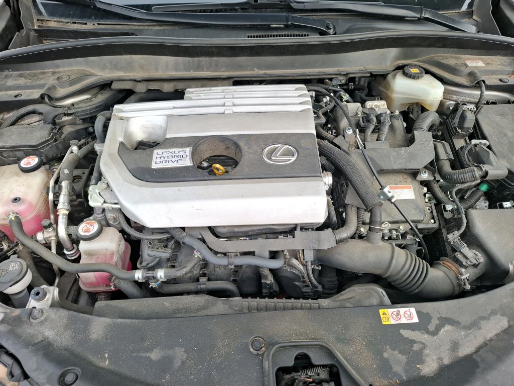 LEXUS  2019