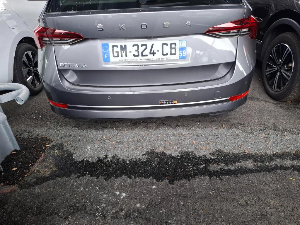 SKODA OCTAVIA COMBI 2.0 TDI 150 ch DSG7 Business 2023