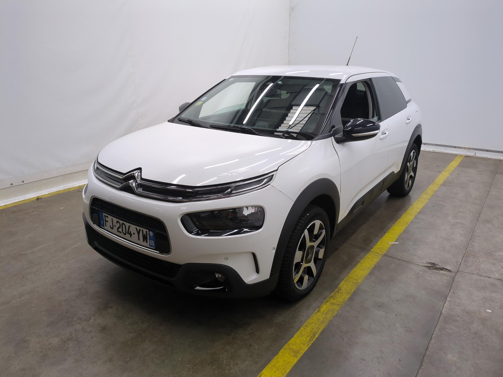 C4 CACTUS