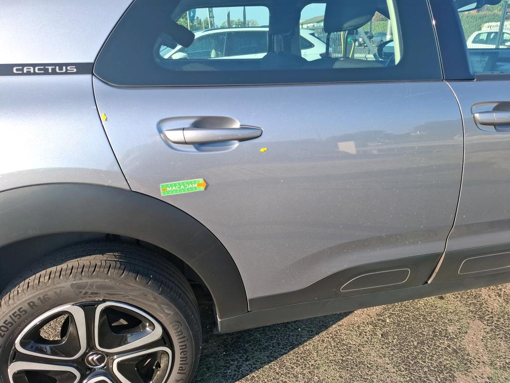 CITROEN C4 CACTUS BlueHDi 100 S&S BVM6 Feel Business 2020