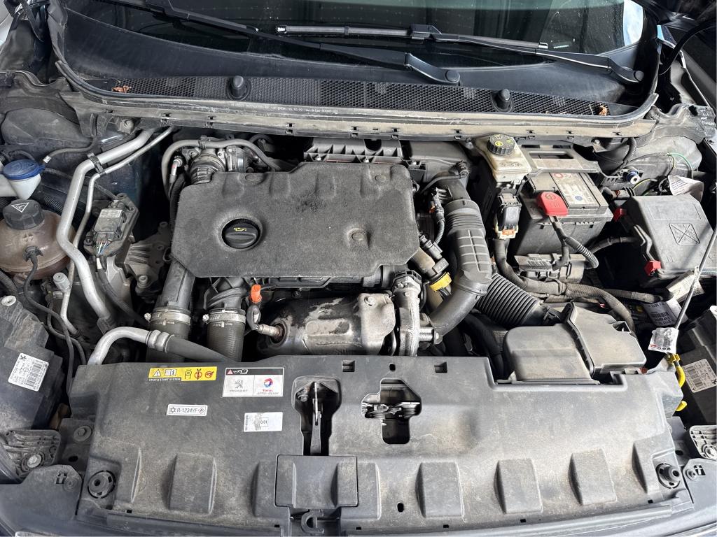 PEUGEOT 308 BUSINESS BlueHDi 130ch S&S EAT8 Active 2020