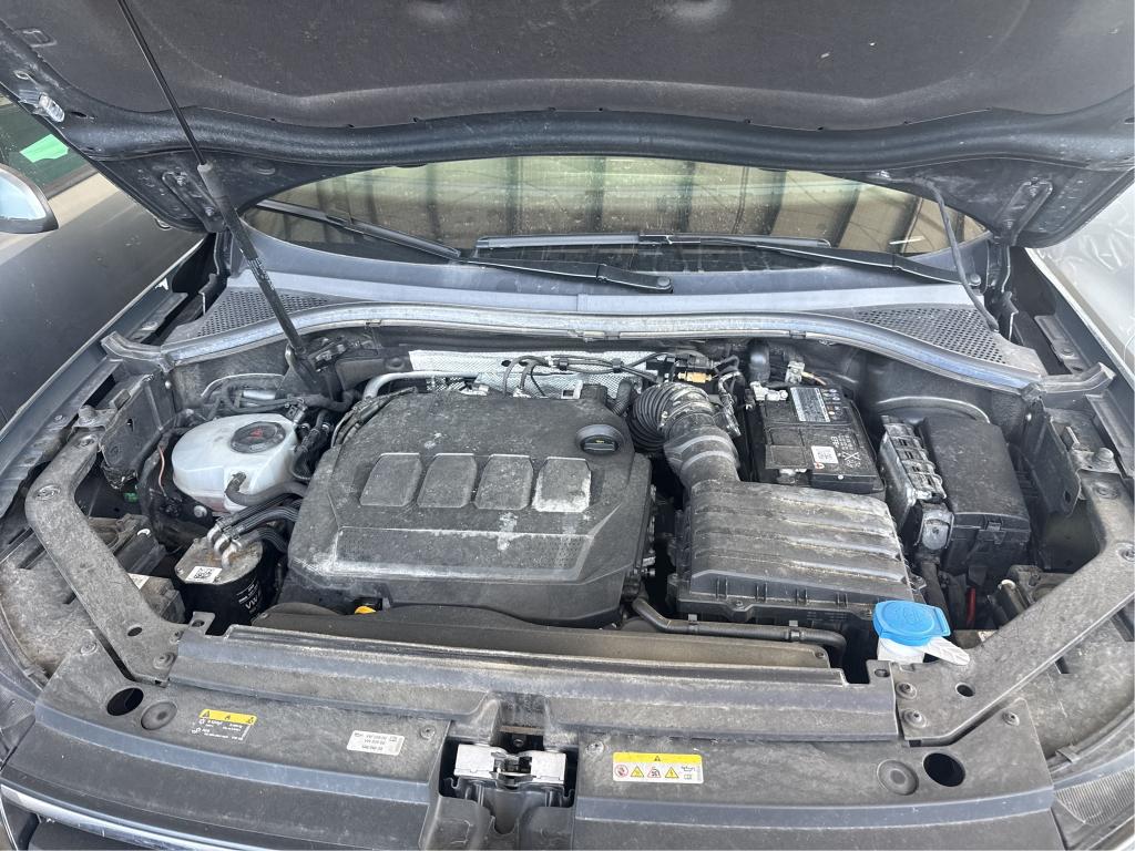 VOLKSWAGEN TIGUAN 2.0 TDI 150ch DSG7 Life Plus 2023