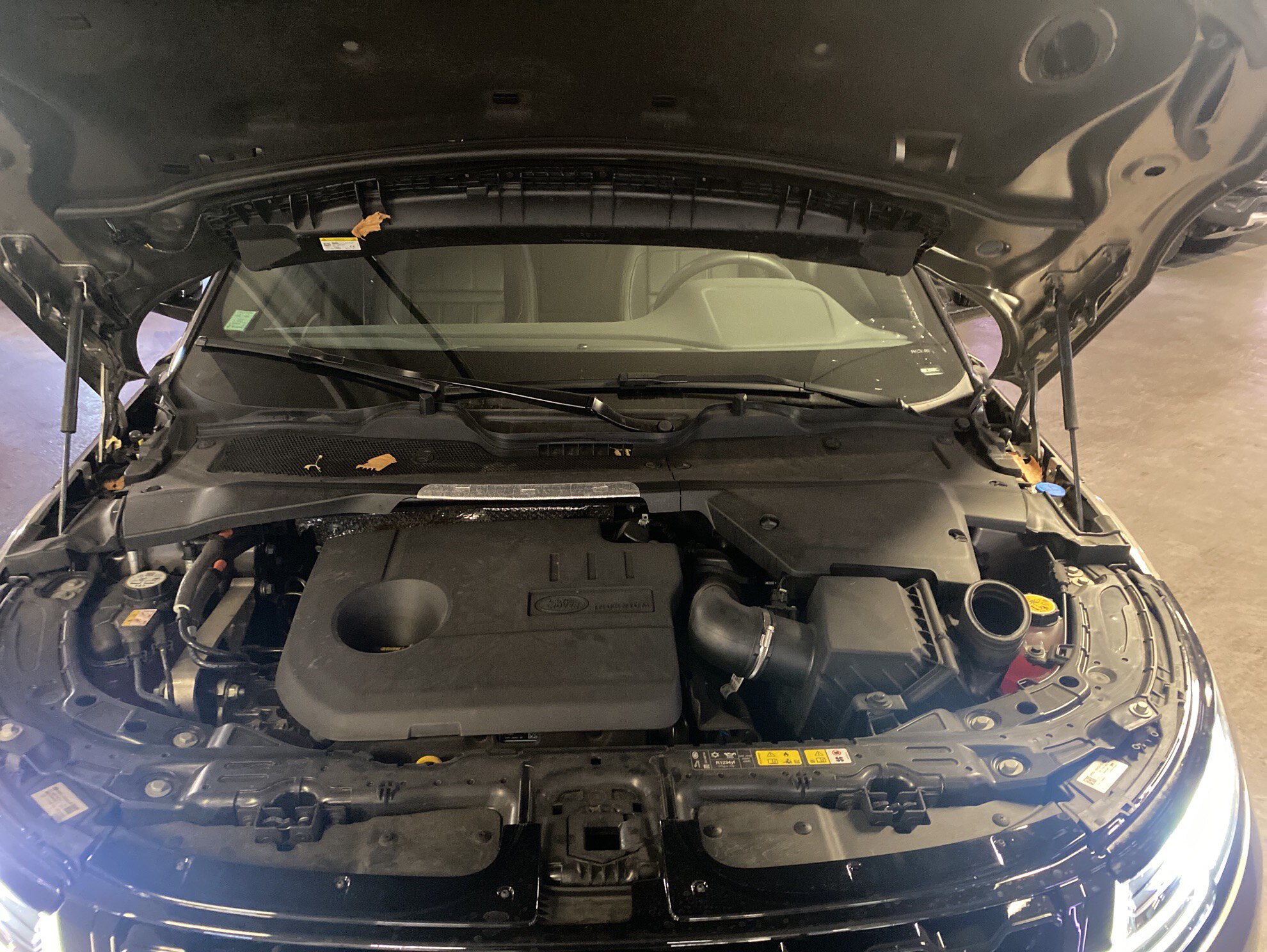 LAND ROVER RANGE Evoque Mark III P300e PHEV AWD BVA8 R-Dynamic SE 2023