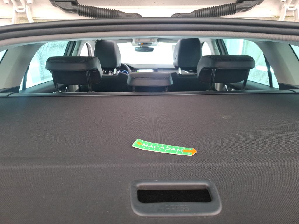 SKODA OCTAVIA COMBI 2.0 TDI 150 ch DSG7 Style 2023