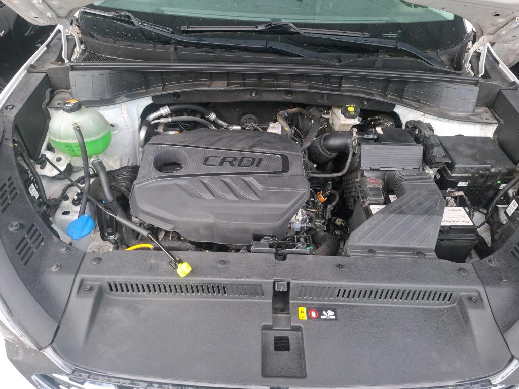 HYUNDAI TUCSON. TUCSON 1.6 CRDi 115 hybrid 48V Intuitive 2020