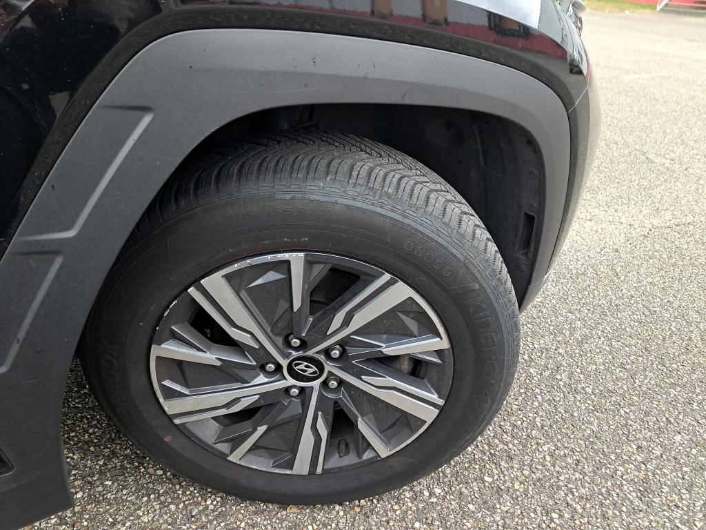 HYUNDAI TUCSON 1.6 CRDi 136 Hybrid 48V DCT-7 Business 2022