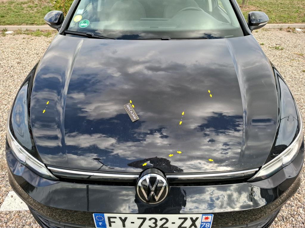 VOLKSWAGEN GOLF 2.0 TDI SCR 115 BVM6 Life Business 2021