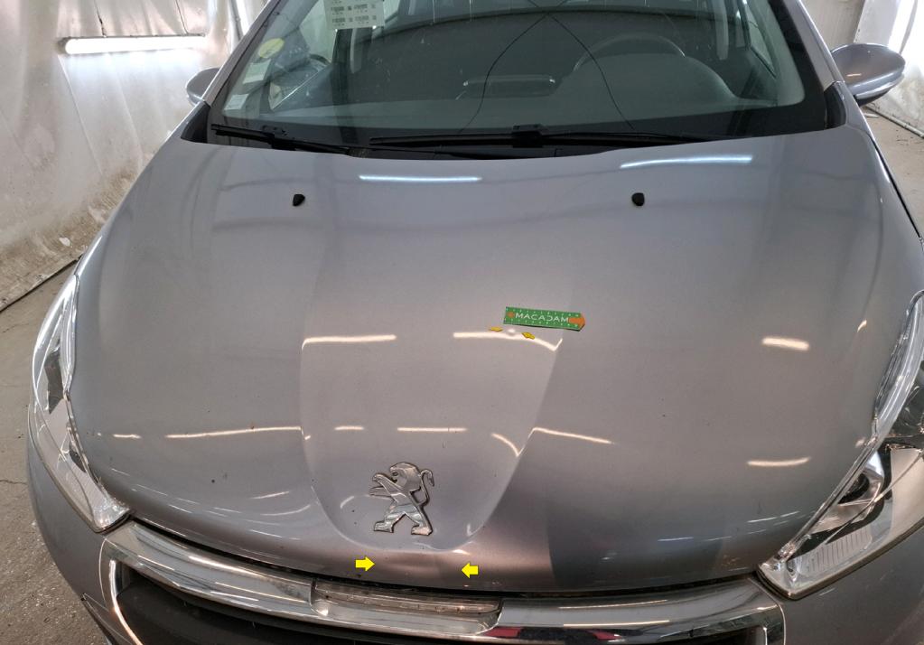 PEUGEOT 208 BUSINESS BlueHDi 100ch S&S BVM5 Active 2019