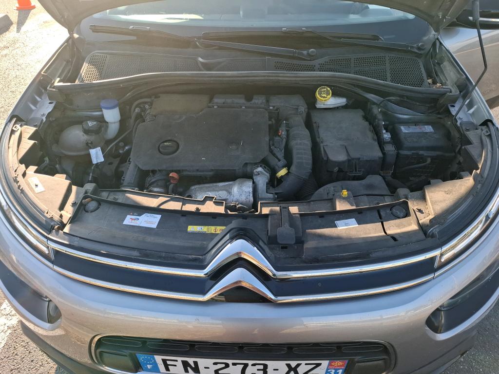 CITROEN C4 CACTUS BlueHDi 100 S&S BVM6 Feel Business 2020