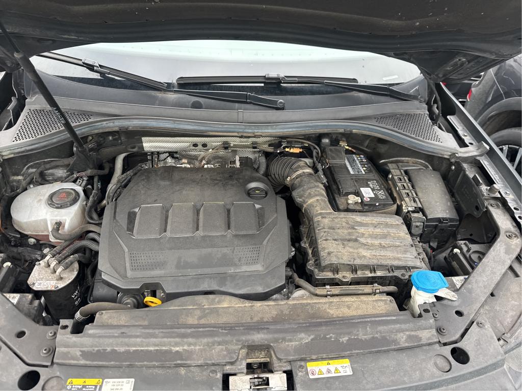 VOLKSWAGEN TIGUAN 2.0 TDI 150ch DSG7 Life Plus 2023
