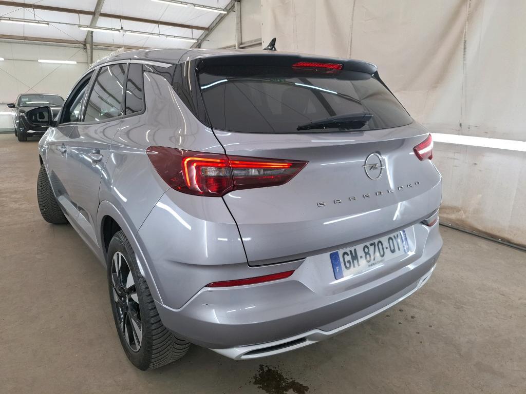 OPEL GRANDLAND 1.5 Diesel 130 ch BVA8 Elegance Business 2023