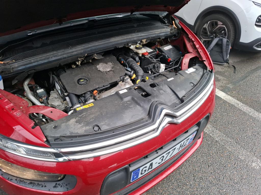 CITROEN C4 GRAND Spacetourer BlueHDi 130 S&S EAT8 Business 2021