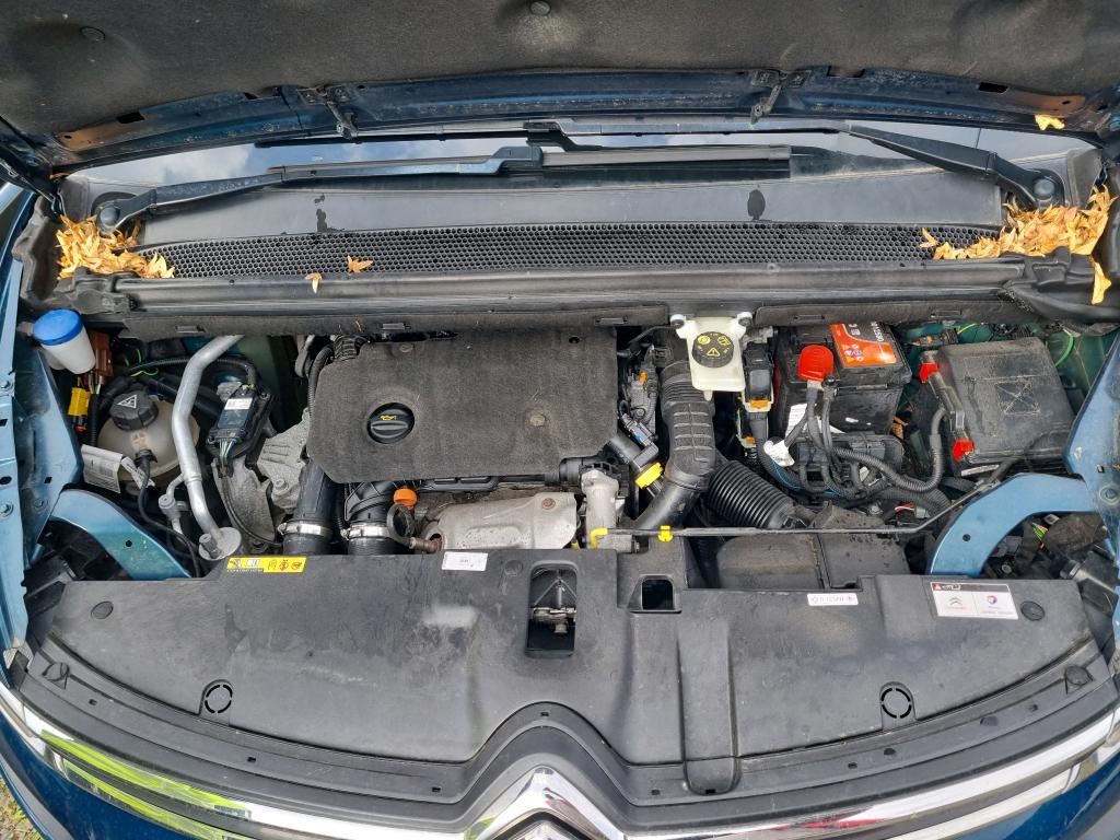 CITROEN C4 SPACETOURER BlueHDi 130 S&S BVM6 Business 2019