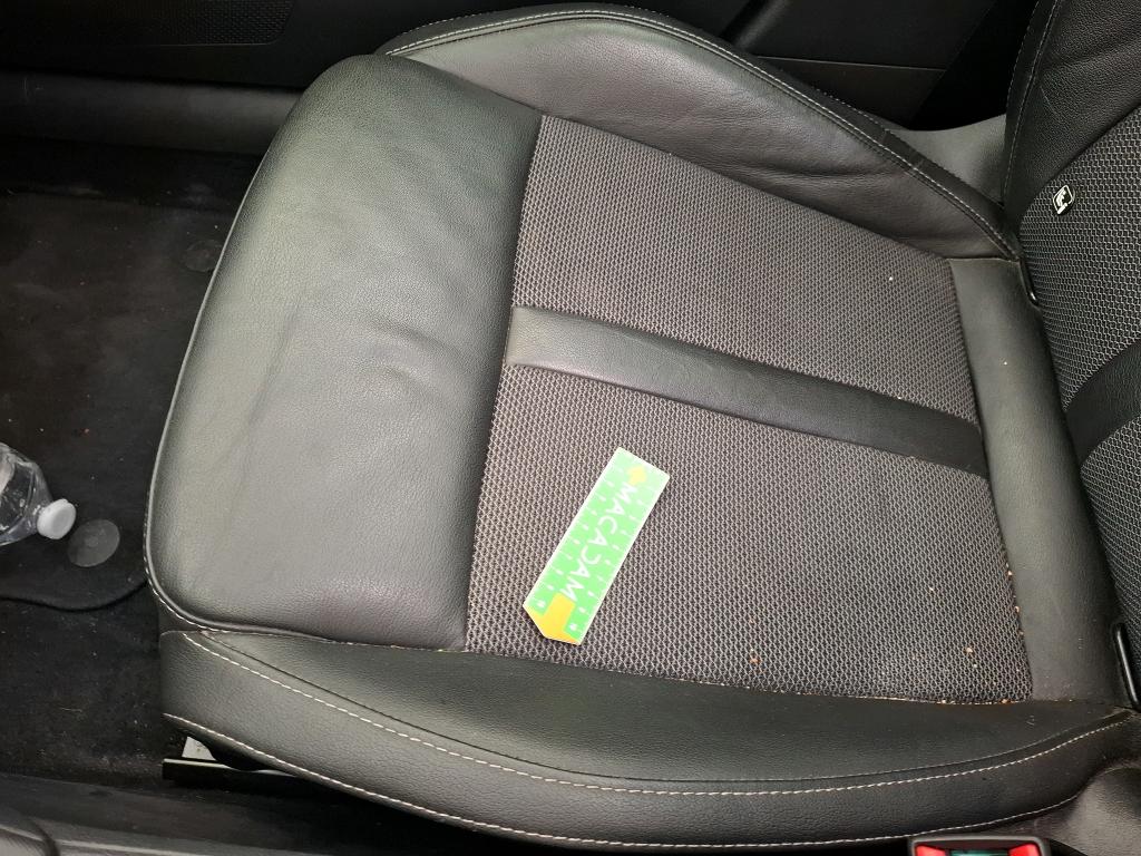 SKODA OCTAVIA COMBI 2.0 TDI 150 ch DSG7 Style 2023
