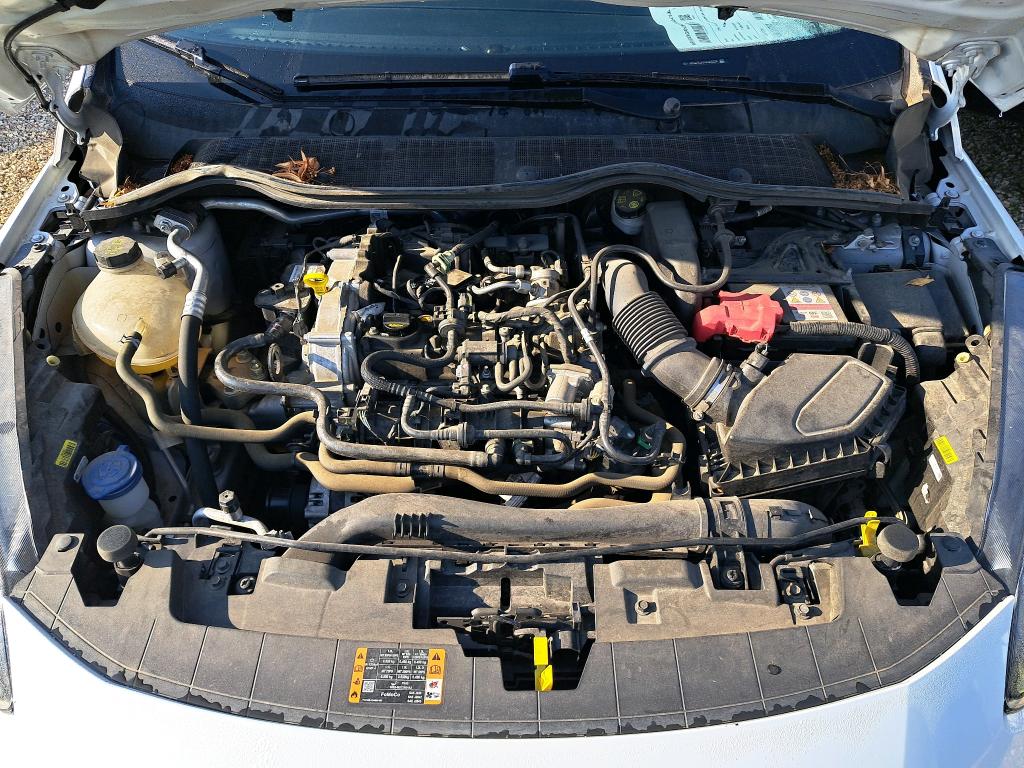FORD FIESTA 1.0 Flexifuel 95 ch S&S BVM6 Titanium Business 2023
