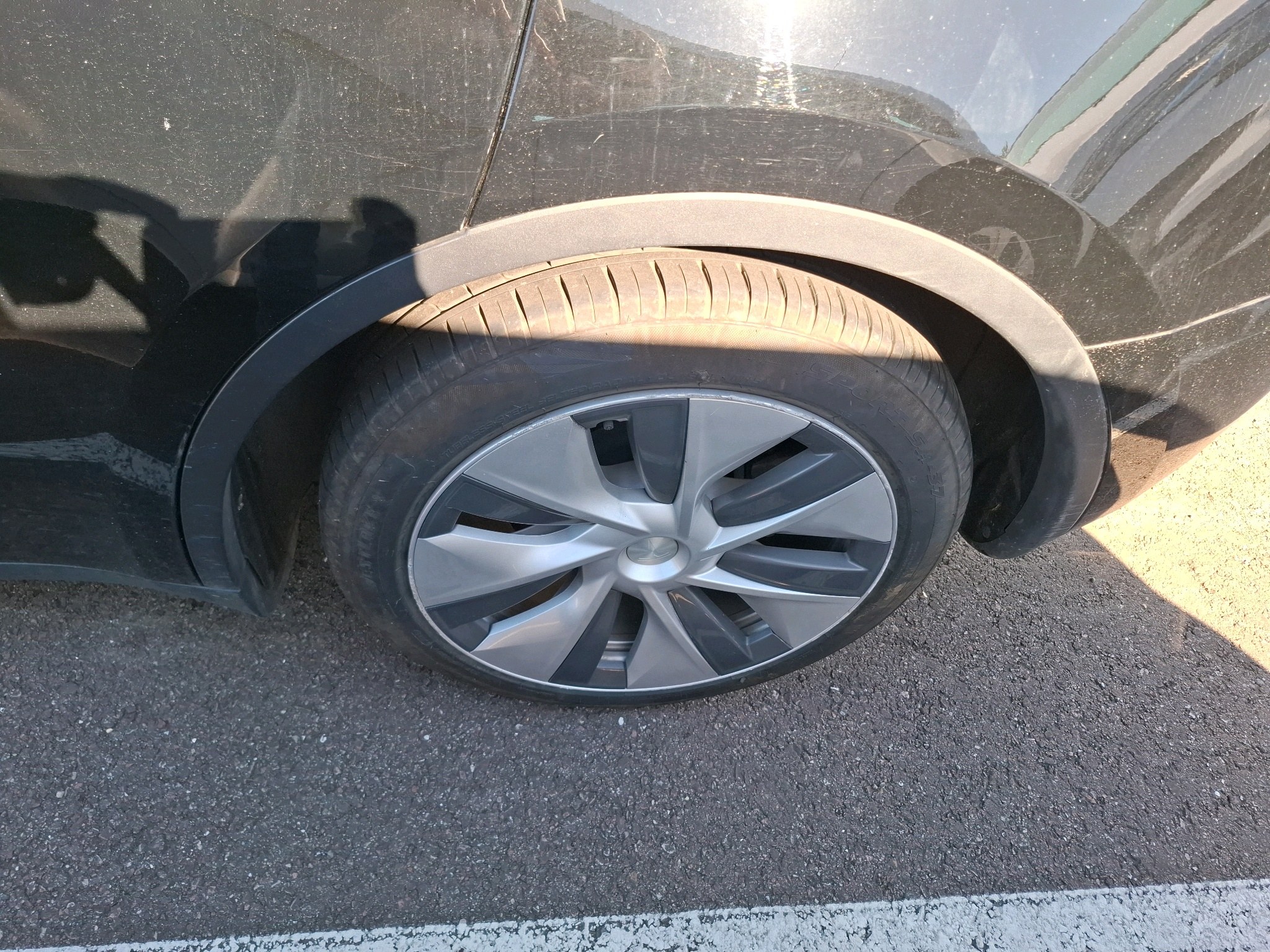 TESLA MODEL Y Standard RWD 2023