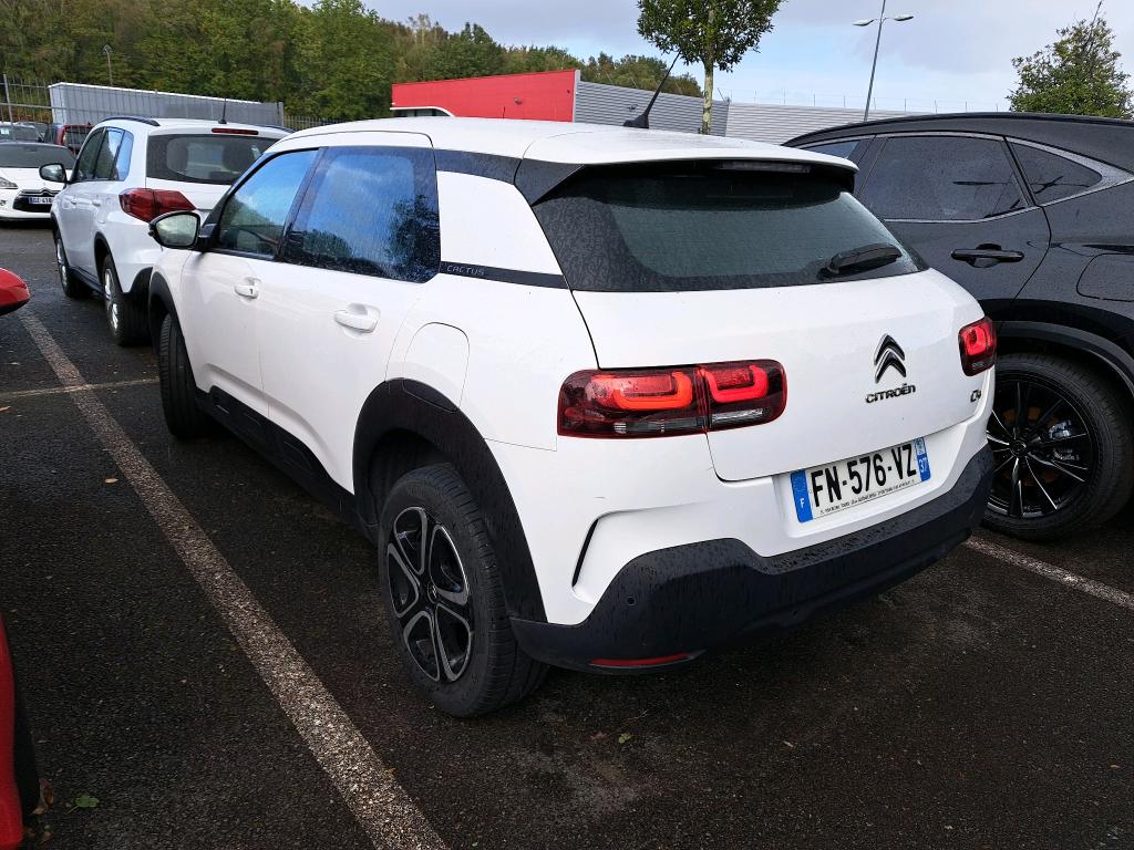 CITROEN C4 CACTUS BlueHDi 100 S&S BVM6 Feel Business 2020