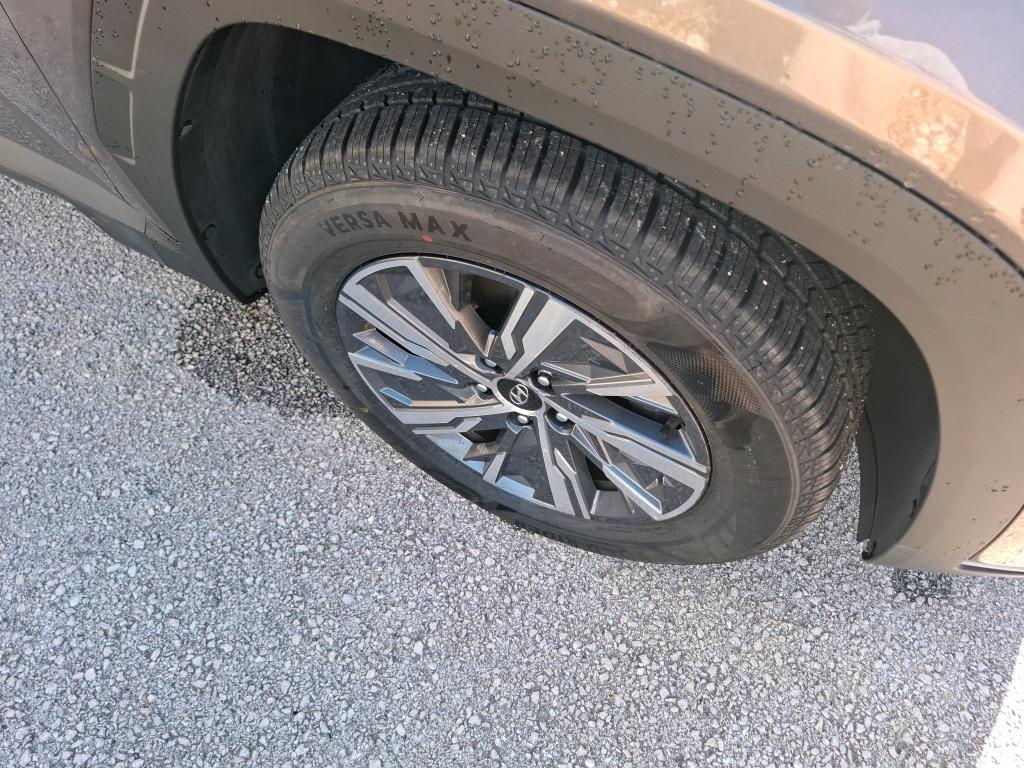 HYUNDAI TUCSON 1.6 T-GDI 230 Hybrid BVA6 Business 2023