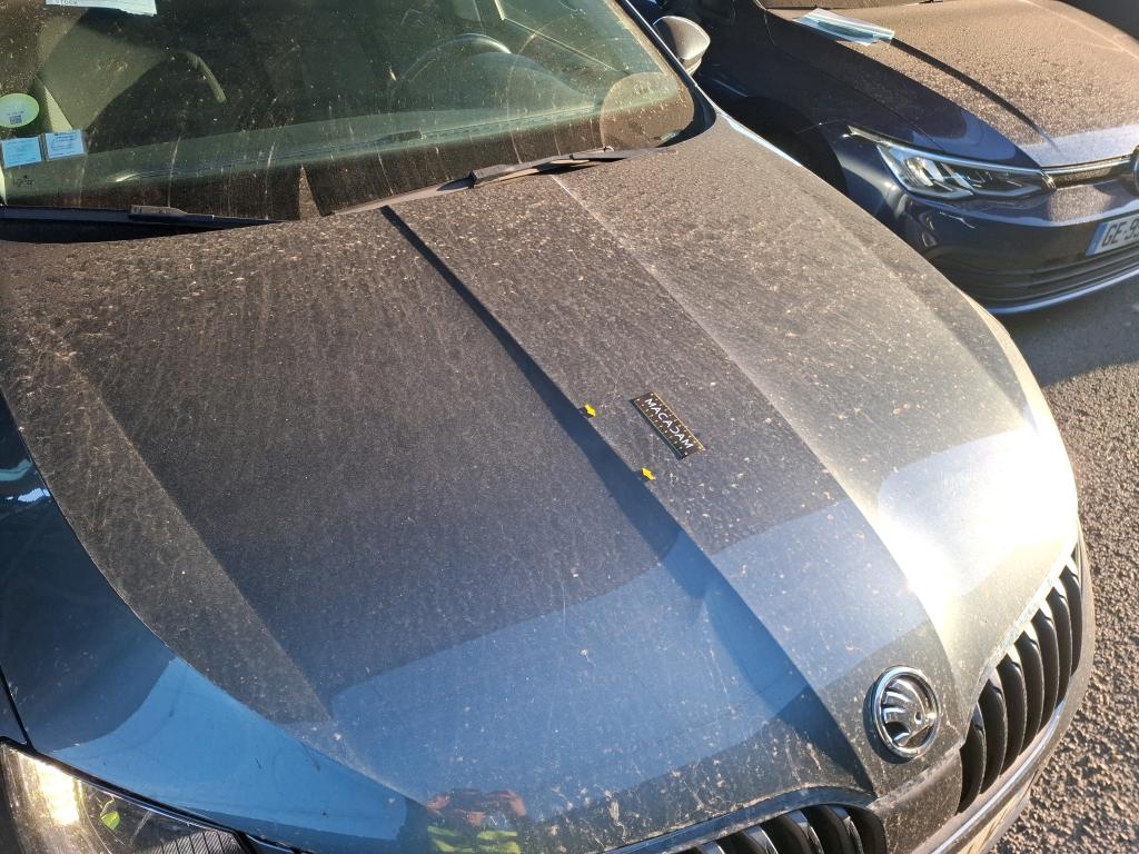 SKODA OCTAVIA COMBI 2.0 TDI 150 ch SCR FAP Business 2019
