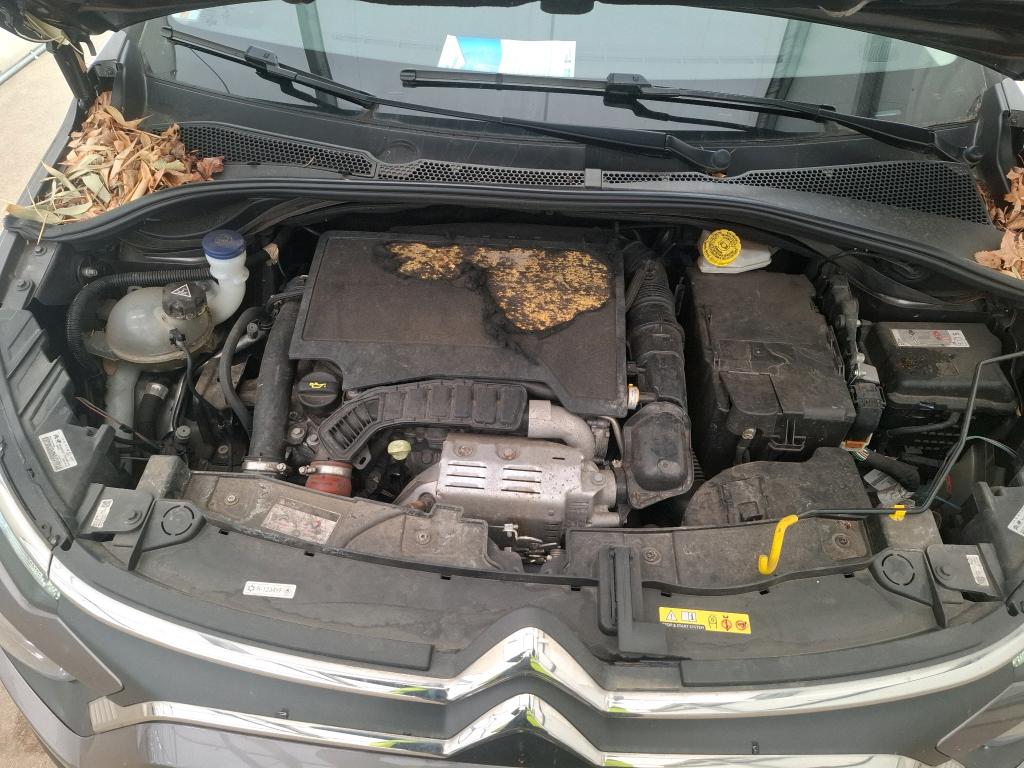 CITROEN C3 PureTech 110 S&S EAT6 Shine Pack 2022