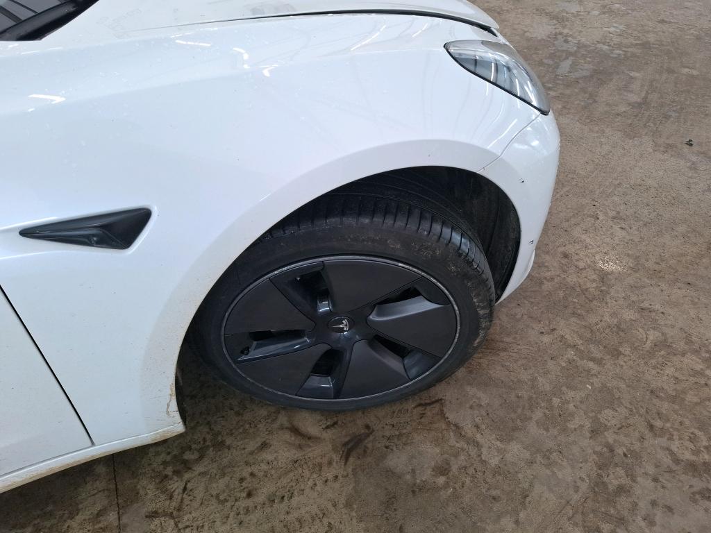 TESLA  2023
