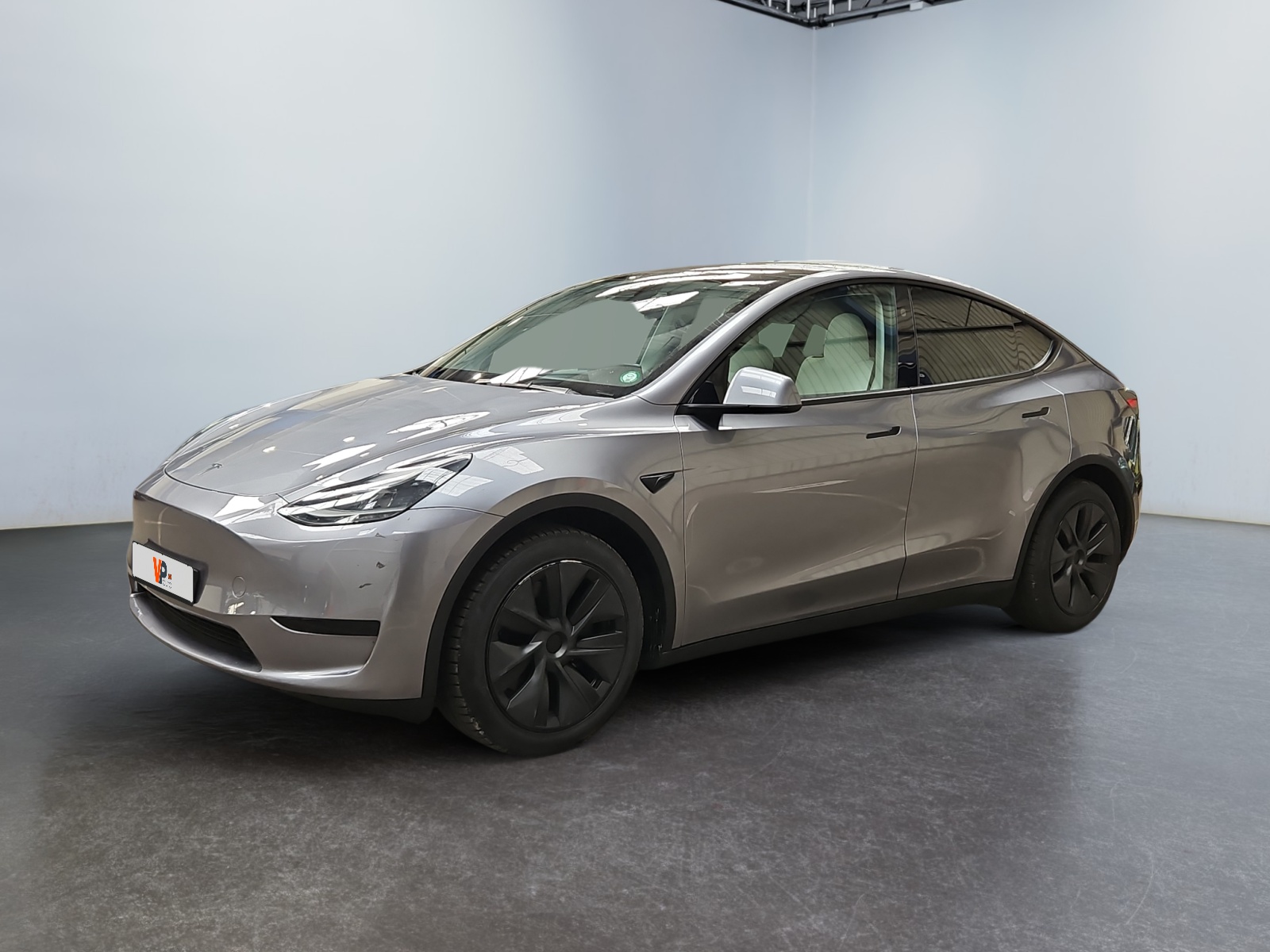 MODEL Y