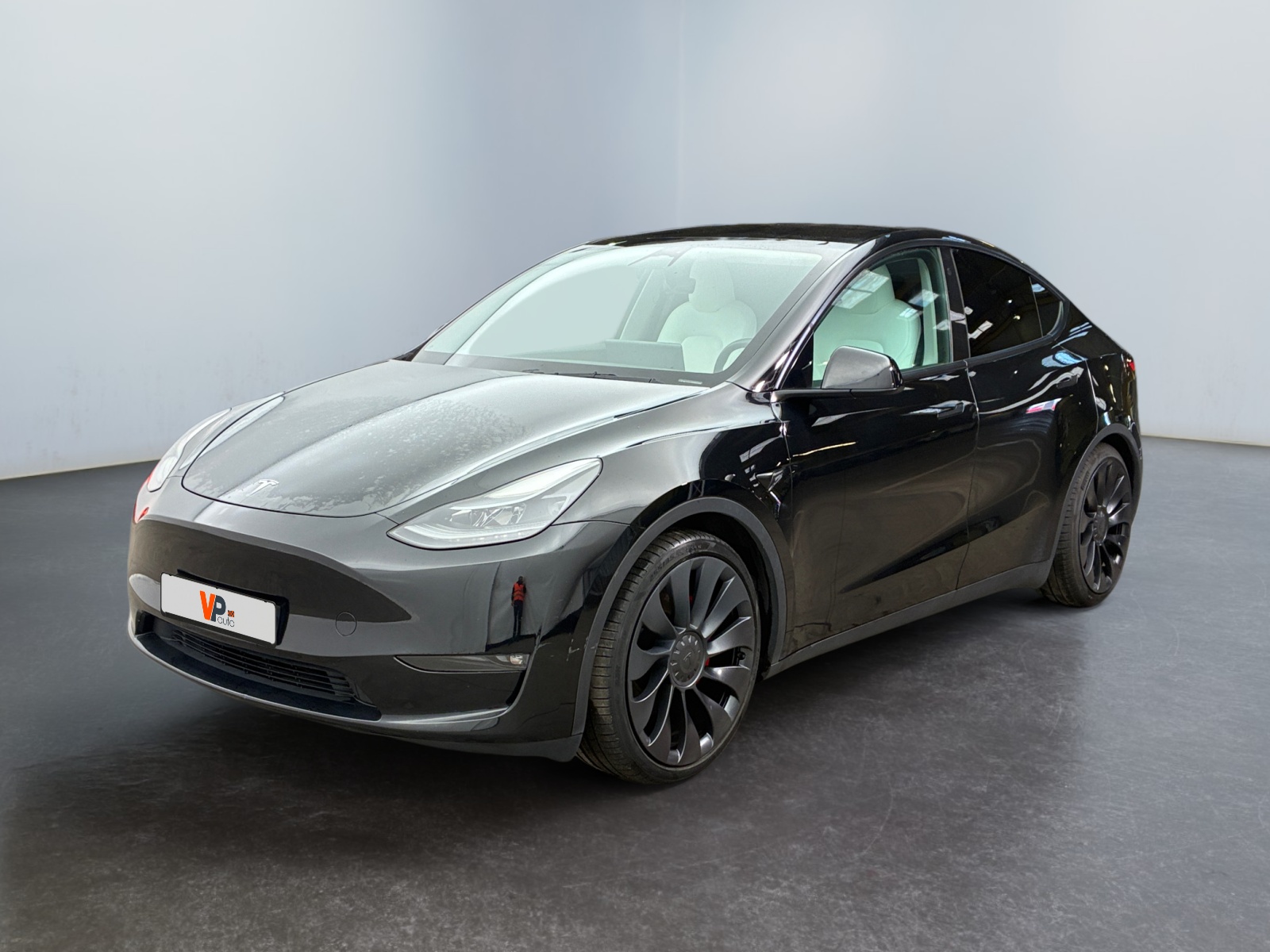 MODEL Y