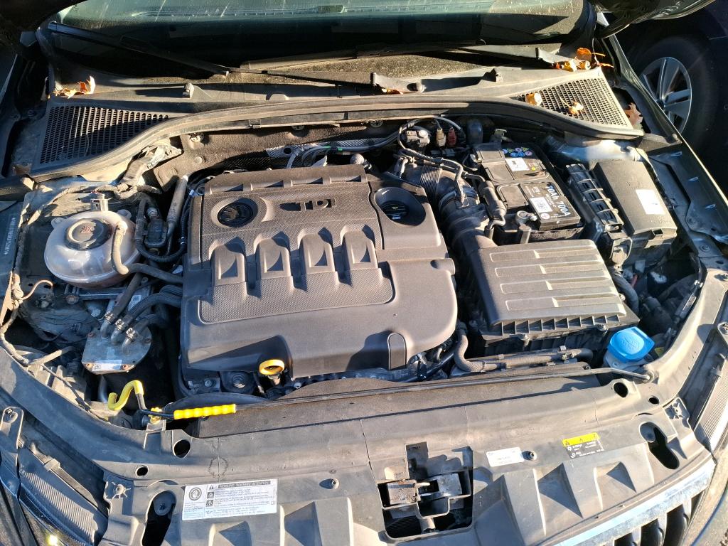SKODA OCTAVIA COMBI 2.0 TDI 150 ch SCR FAP Business 2019