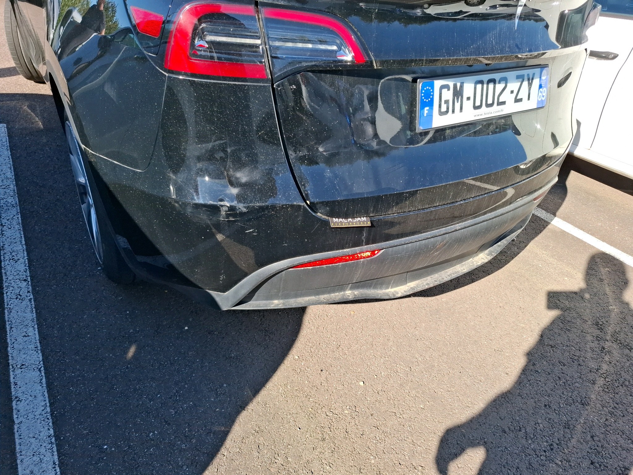 TESLA MODEL Y Standard RWD 2023