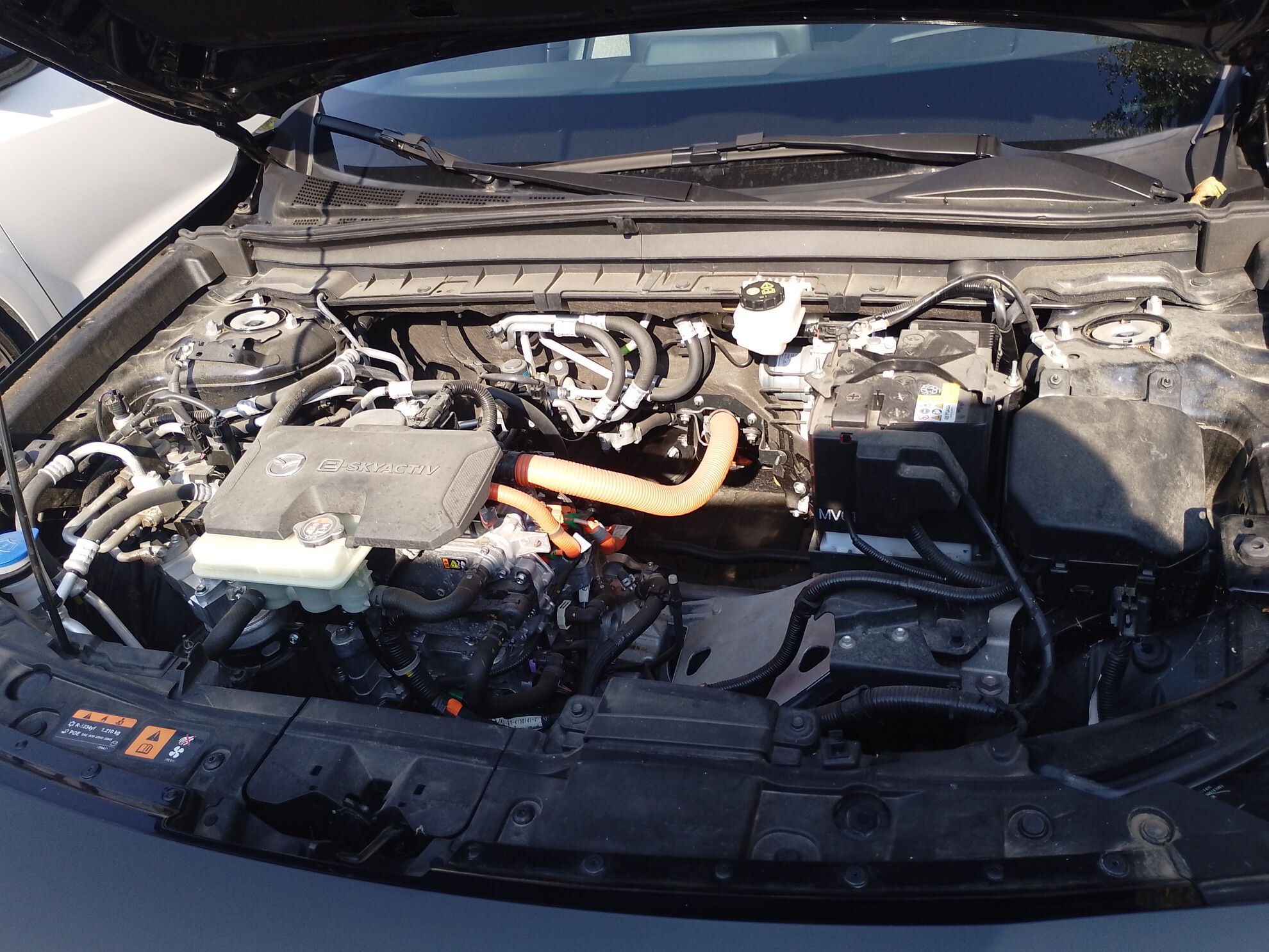 MAZDA MX-30 2022 e-Skyactiv 145 ch Prime-Line 2024