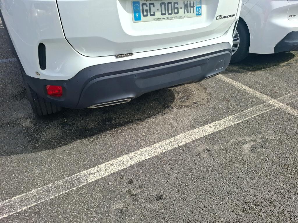 CITROEN C5 AIRCROSS BlueHDi 130 S&S EAT8 Business 2021