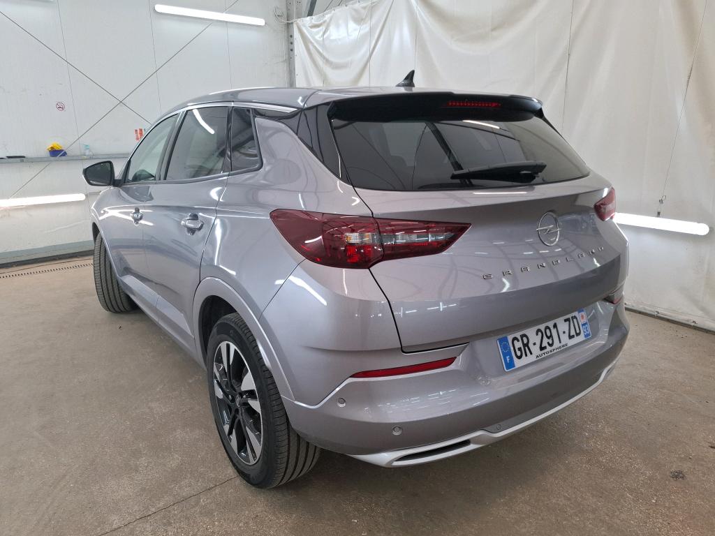 OPEL GRANDLAND 1.5 Diesel 130 ch BVA8 Elegance Business 2023
