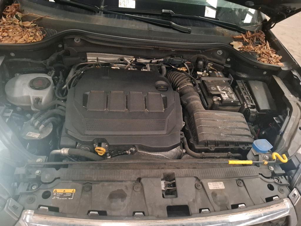 SEAT ATECA 2.0 TDI 150 ch Start/Stop DSG7 Business 2024