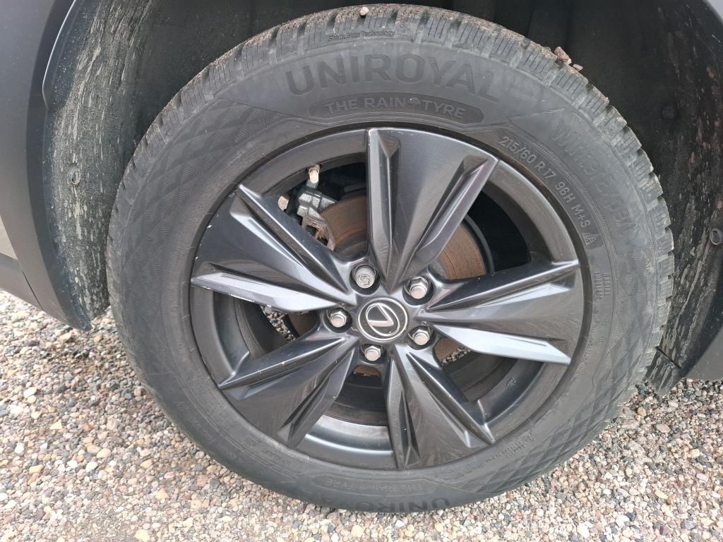 LEXUS  2019