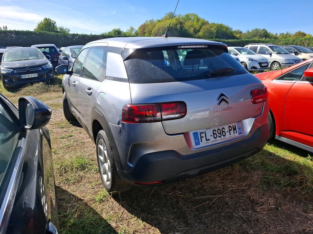 CITROEN C4 CACTUS PureTech 110 S&S BVM6 Feel Business 2019