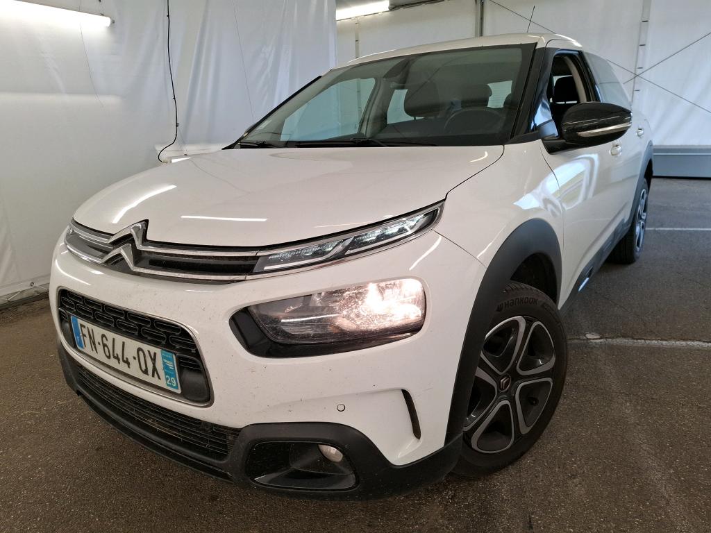 C4 CACTUS