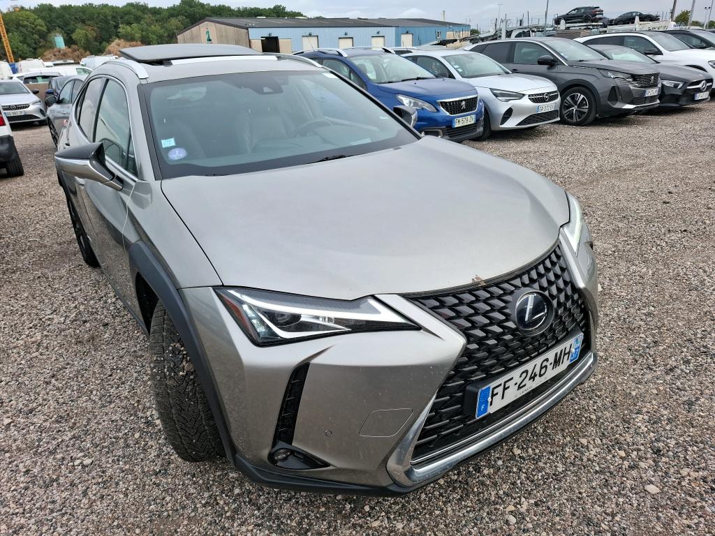 LEXUS  2019