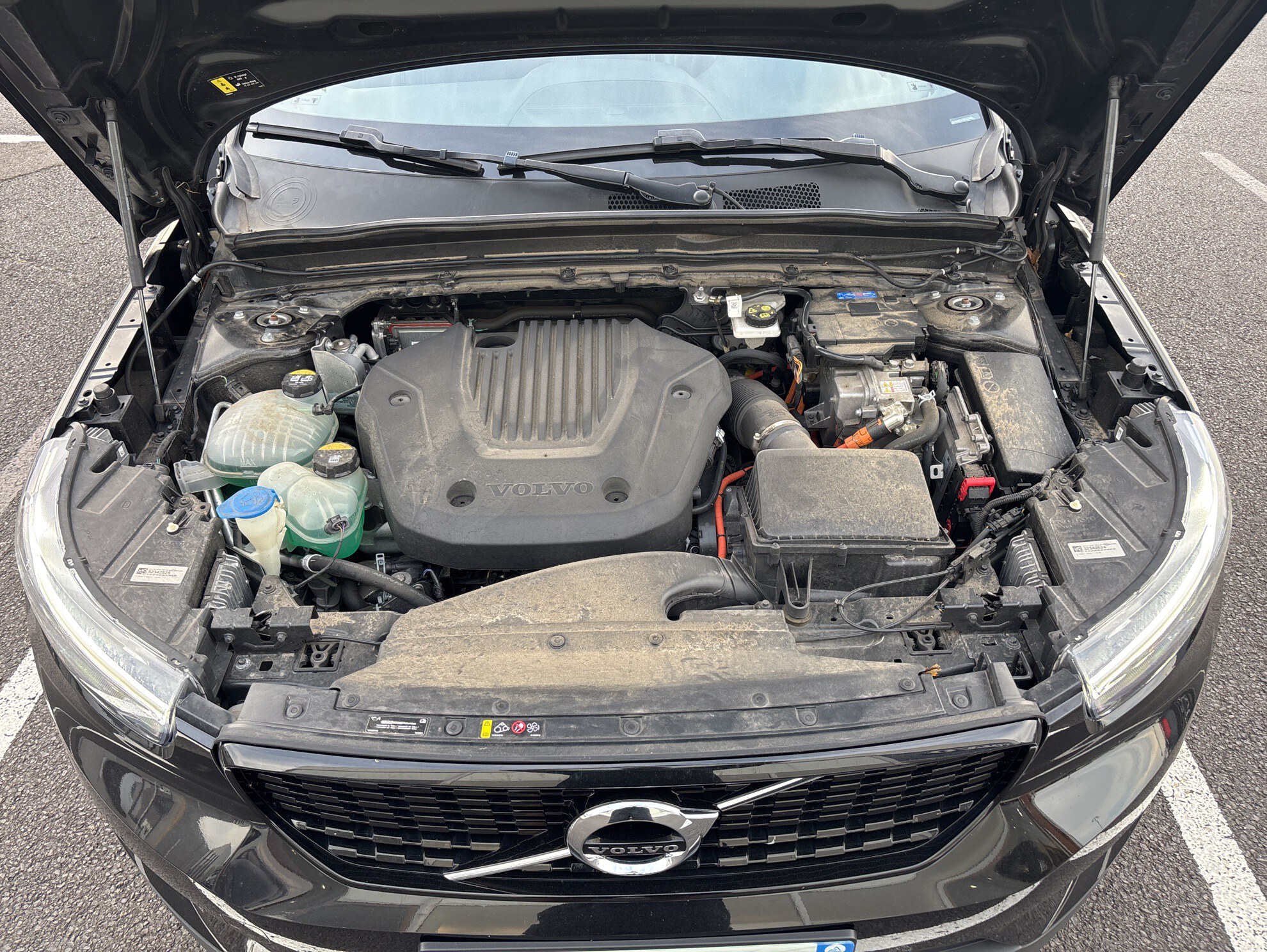 VOLVO XC40 T5 Recharge 180+82 ch DCT7 R-Design 2022