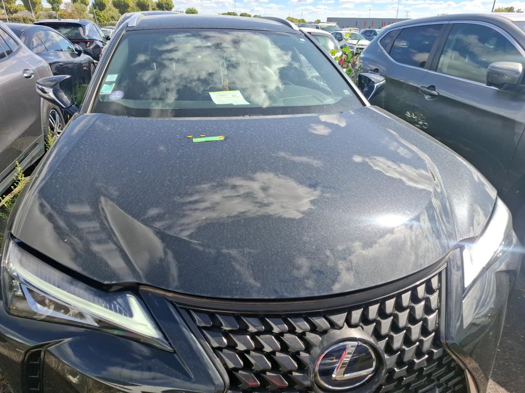LEXUS  2022