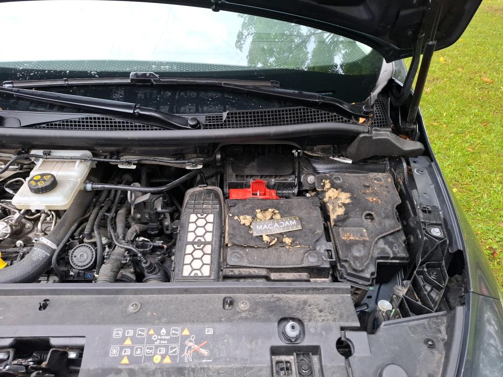 MERCEDES-BENZ MERCEDES CITAN FOURGON FGN 113 ESS LONG FIRST 2022