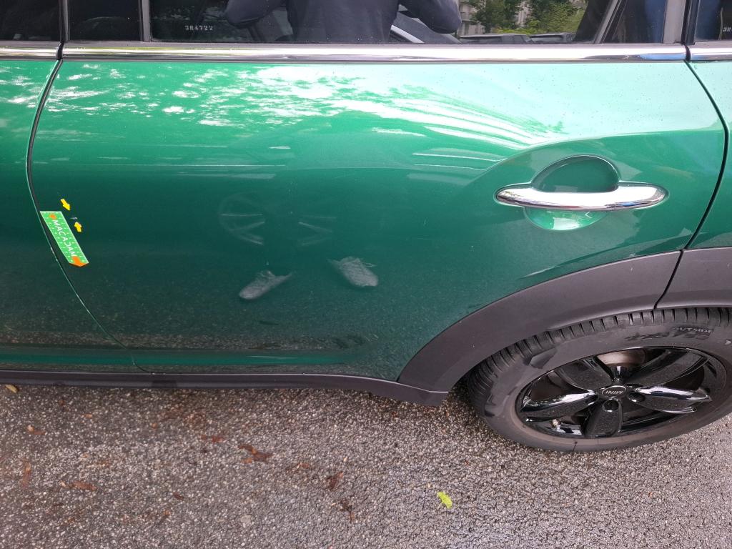 MINI COUNTRYMAN F60 LCI 136 ch BVA7 Cooper Essential 2023