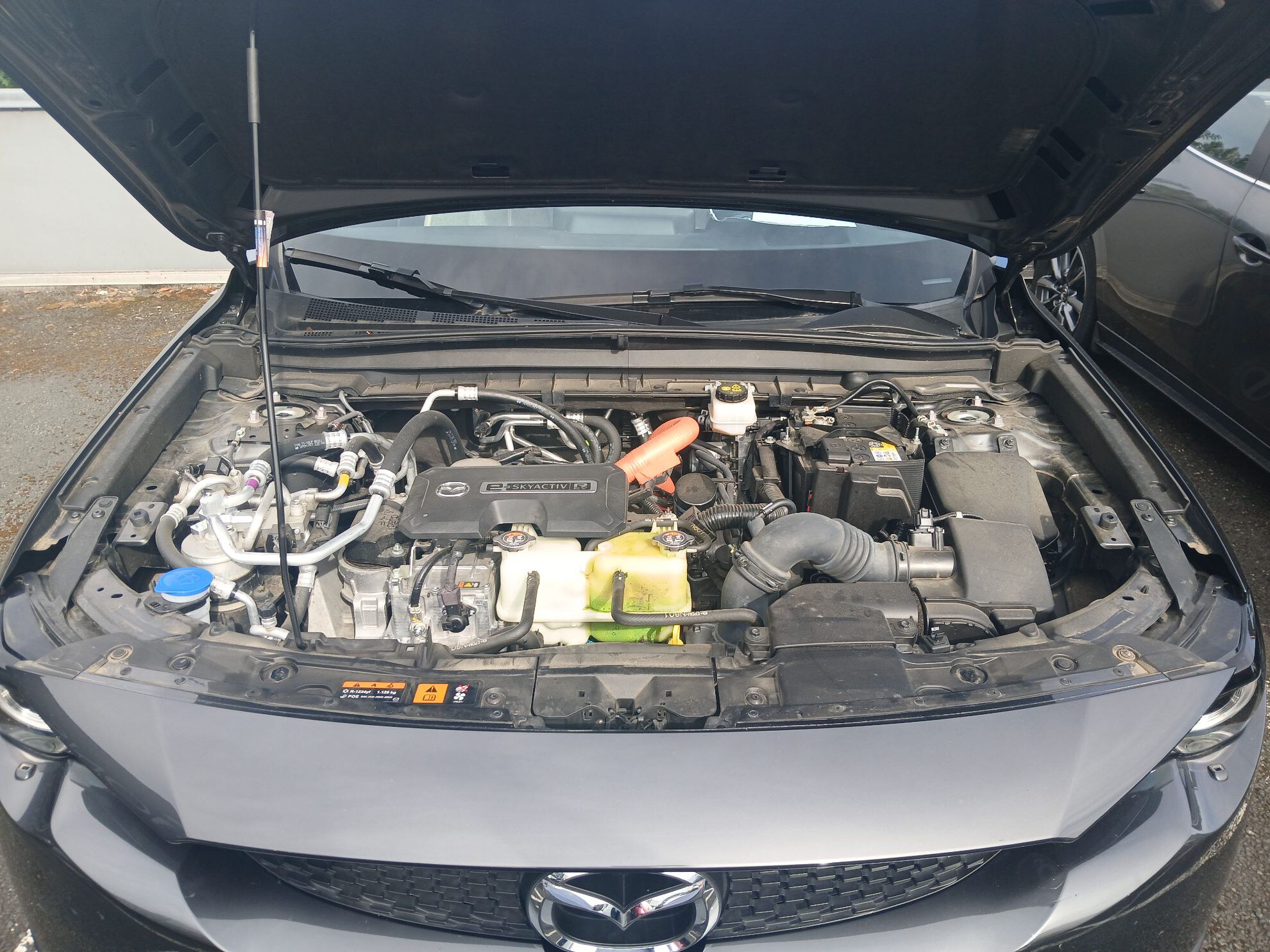 MAZDA MX-30 R-EV e-Skyactiv 170 ch BVA Makoto Modern Confidence 2024