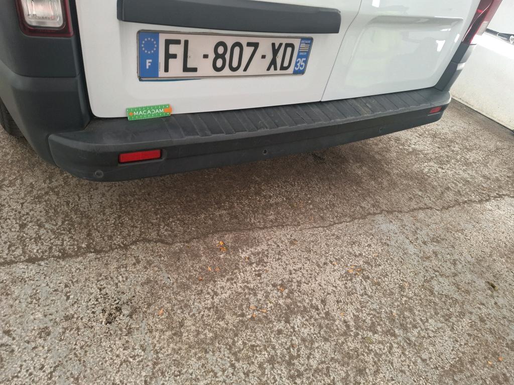 RENAULT TRAFIC FOURGON FGN L1H1 1200 KG DCI 125 ENERGY E6 GRAND CONFORT 2019