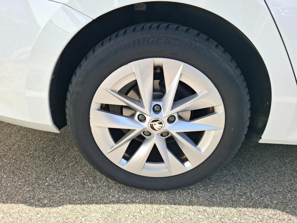 SKODA OCTAVIA 2.0 TDI 150 ch DSG7 Business 2023