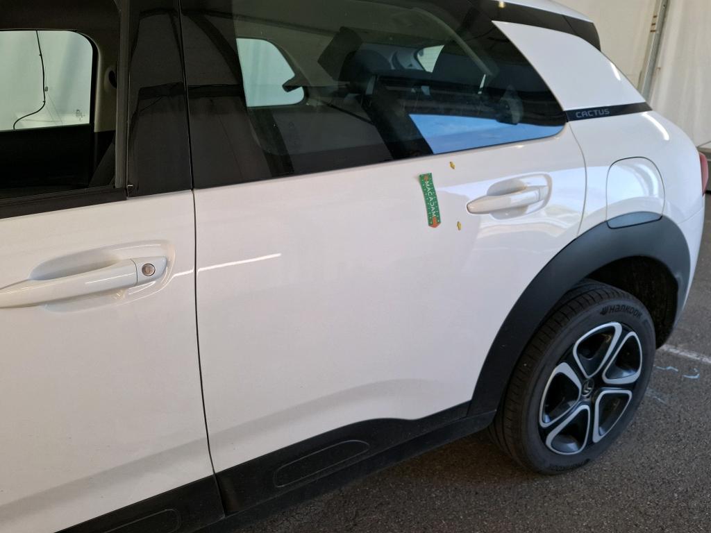 CITROEN C4 CACTUS BlueHDi 100 S&S BVM6 Feel Business 2020