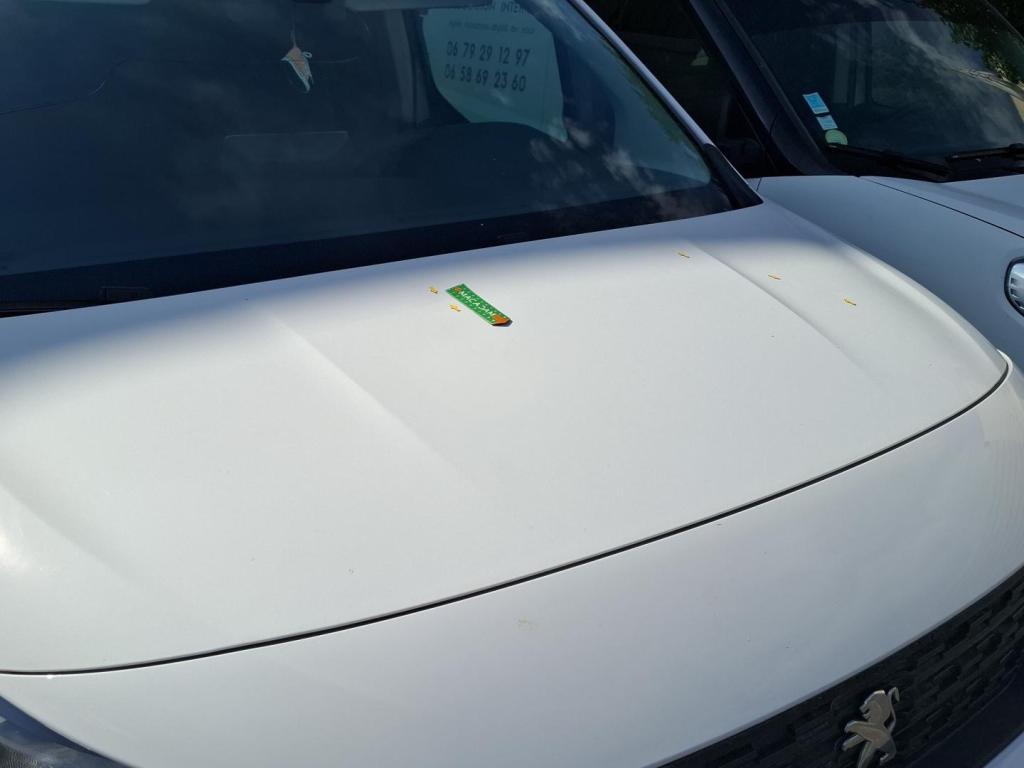PEUGEOT PARTNER FOURGON M 950 KG BLUEHDI 100 S&S BVM6 2023